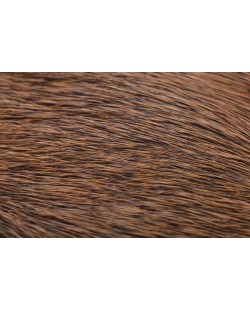 ELK BODY HAIR BROWN